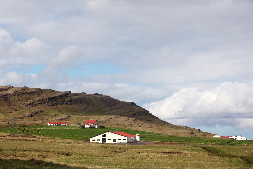 Farm on Reykholt Plain