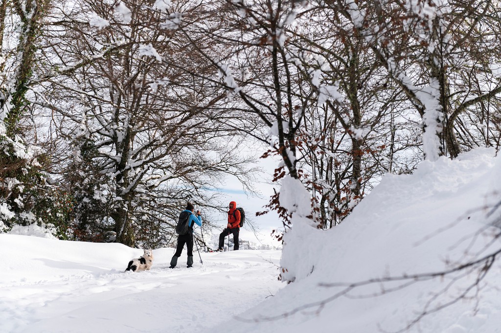 Couple and pet enjoying a winter day in mountains covered by snow walking with snowshoes