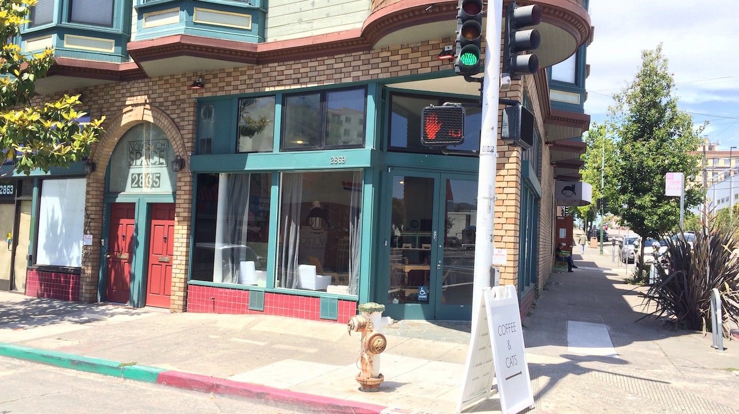 Spotlight On Oakland’s Cat Town Cafe