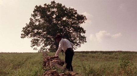 Morgan Freeman's Red approaches the iconic white oak (Columbia Pictures)