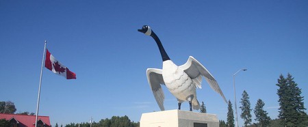 Canada Goose, Wawa