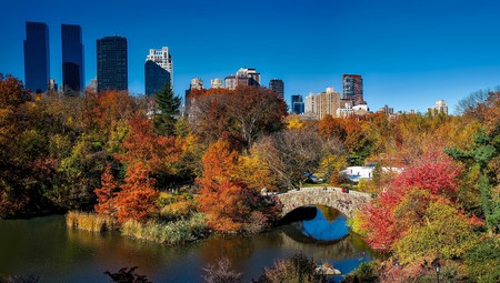 Central Park in fall