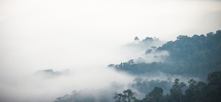 Mist over Kaeng Krahang National Park