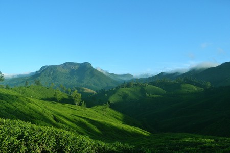 Munnar is a hill station in Kerala that is known for its tea-estates and scenic beauty
