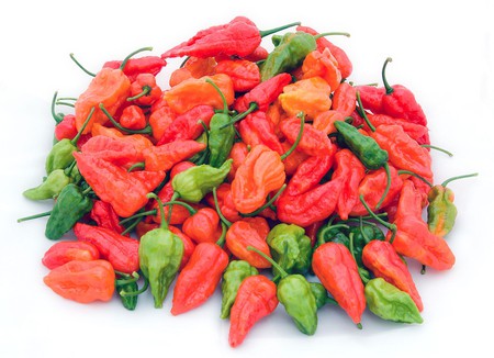 Bhut jolokia, known as the hottest chilli in the world, is used in various Northeast Indian dishes