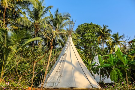 La Mangrove is one of the best eco-firendly glamping sites in Goa