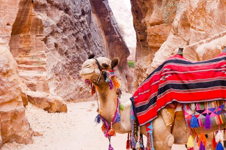 Experience the charms of Petra on a trip to Jordan