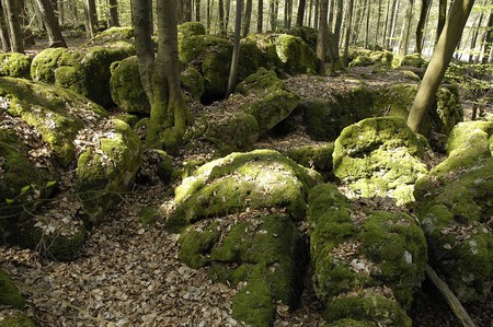 Druidenhain forest