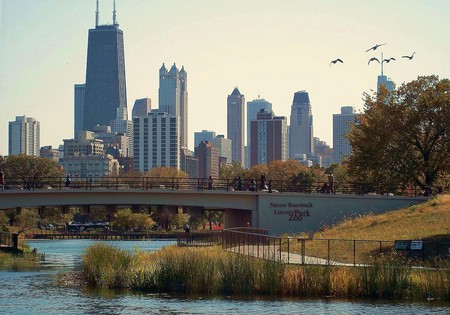Chicago's Lincoln Park Nature Boardwalk in fall. 