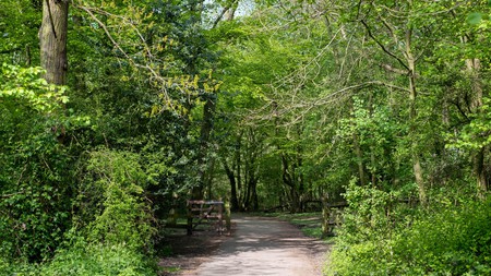 The London LOOP comprises approximately 242km (150mi) of scenic paths