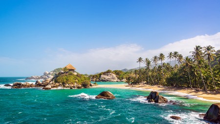 Palm trees and blue Caribbean water on the beach of San Juan del Guia in Tayrona National Park in Colombia