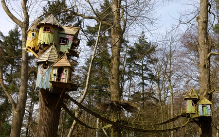 Visit BeWILDerwood with the whole family and explore woodlands, treehouses and mazes galore