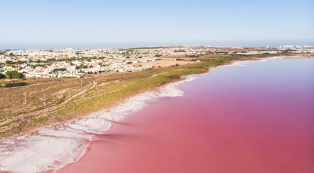 The Pink Lake of Torrevieja is a must-visit