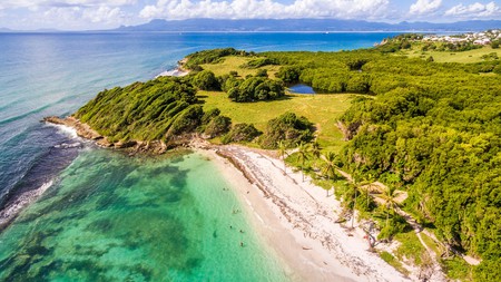Known for its mesmerising natural beauty, Guadeloupe has some incredible reasons for you to visit