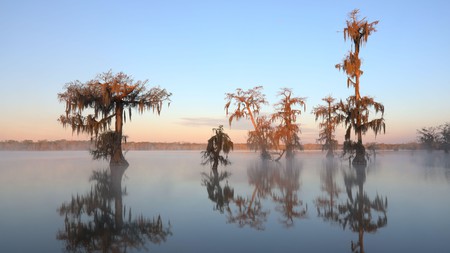 Reflect on these Lafayette hotels – we're sure you'll find your place to stay in Louisiana