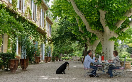 Dining under plane trees in Boutonnet