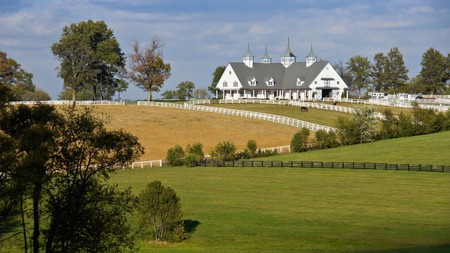 Get a taste of the American outdoors at Manchester Farm, Lexington
