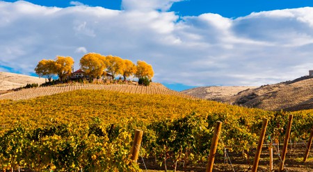 Taste the best wines around Yakima, then rest your head back at one of these top hotels