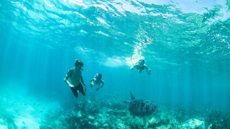 The Bahamas is home to some of the best snorkeling you will find anywhere in the world