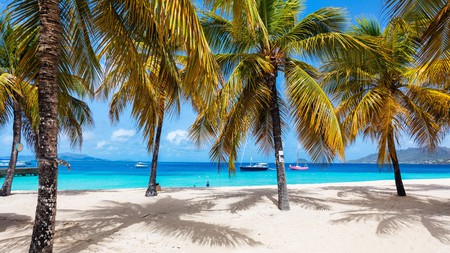 idyllic tropical beach with white sand, palm trees and turquoise Caribbean sea water on exotic island in St Vincent and the Grenadines