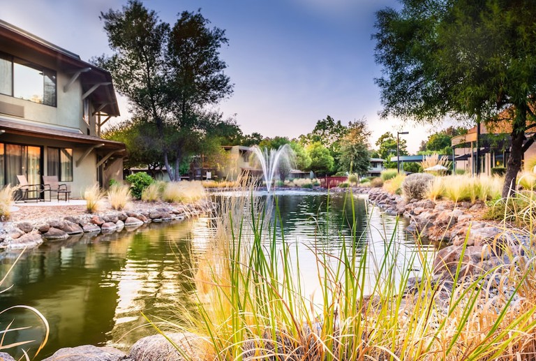 Leafy grounds and pond at Gaia Hotel & Spa Redding, Ascend Hotel Collection