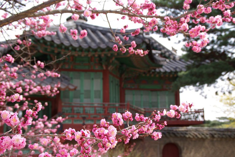 Changdeokgung Secret Garden © mill56 / Flickr
