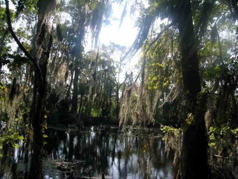 Lafitte National Park and Preserve