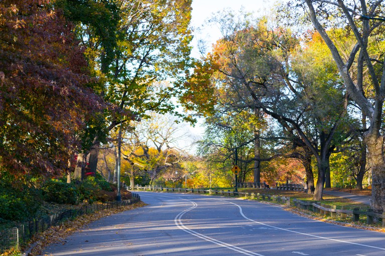 The outer park loop in Central Park