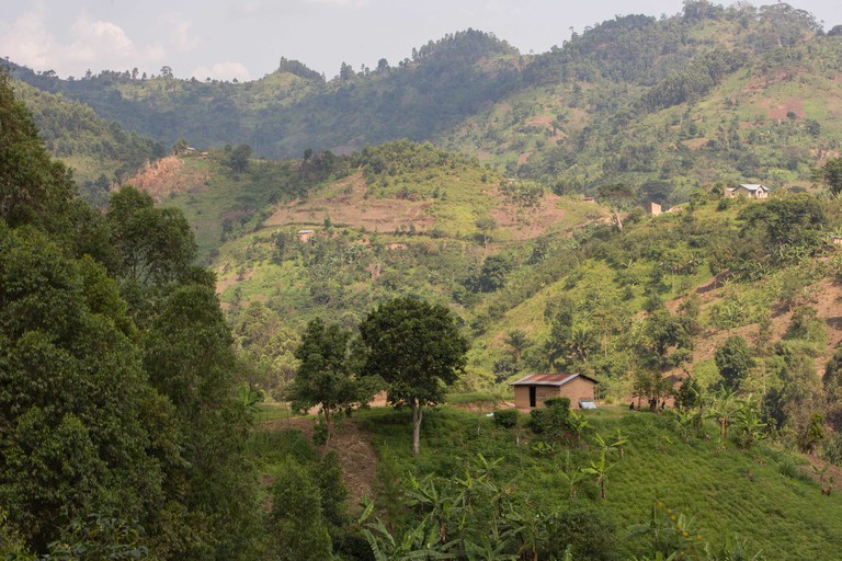 Les magnifiques montagnes Rwenzori sont vues depuis le district de Kasese, en Ouganda, formant la frontière entre l'Ouganda et la RDC.