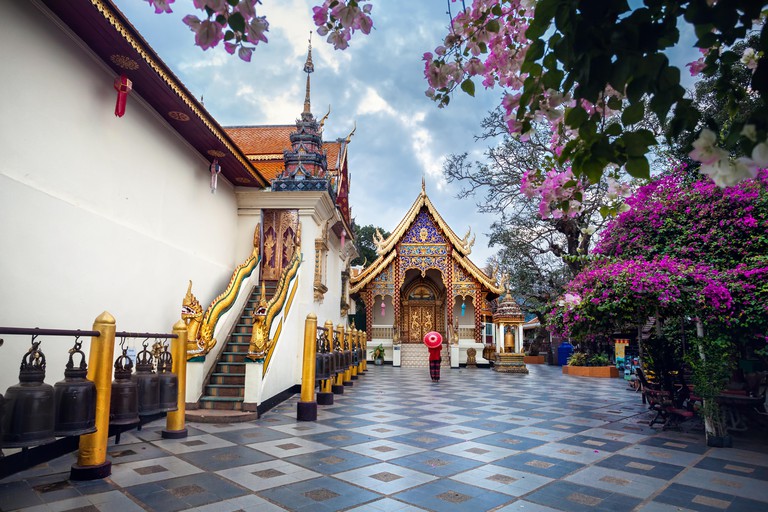 Woman tourist with red traditional Thai umbrella near Pagoda and blooming tree with pink flowers at Wat Doi Suthep in Chiang Mai, Thailand