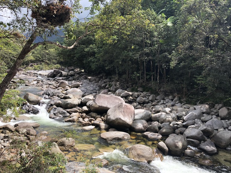A river with stones and trees on either side at Mossman Gorge