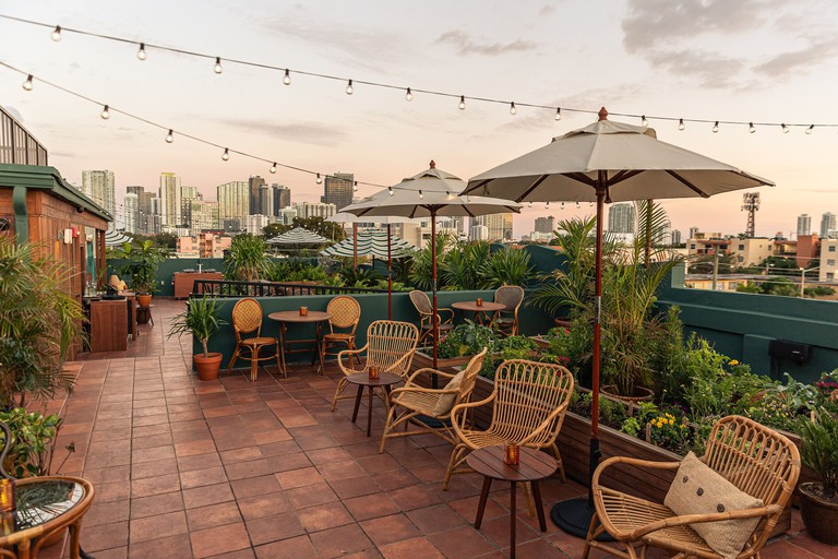 Relaxed rooftop bar with rattan chairs, string lighting and abundant plant life at Life House, Little Havana, Miami
