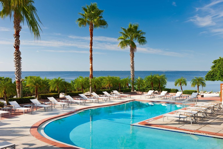 Pool area with white lounge chairs in front of palm trees lining the shore of the Gulf of Mexico at Grand Hyatt Tampa Bay