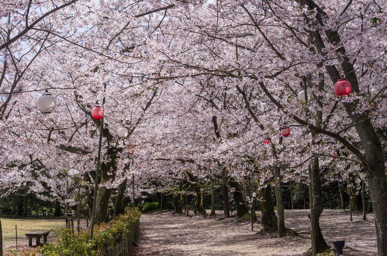 Impressions from spring in the famous Japanese Landscape Garden Ritsurin in Takamatsu City, Shikoku, Japan