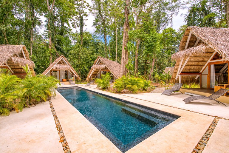 An outdoor swimming pool at Hotel Shawandha Lodge, surrounded by rustic lodges, green plants, trees and sun loungers