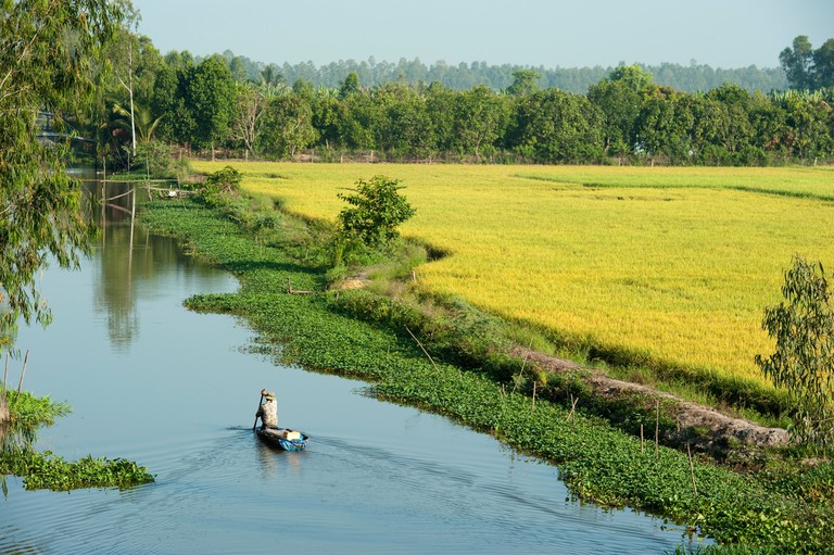 Canoe on a river between the rice paddies, Mekong Delta, Chau Doc, Vietnam
