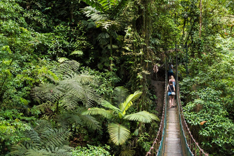 R04PH1 Rainforest on La Fortuna Waterfall hike, Alajuela Province, Costa Rica, Central America