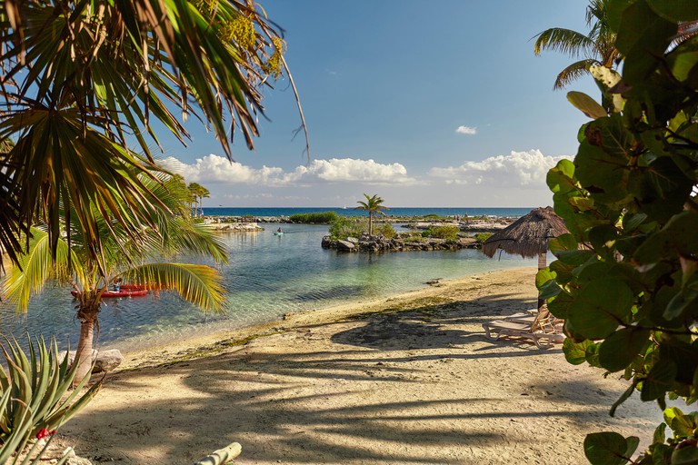 View of Puerto Aventuras beach in mexico Filtered by palm.