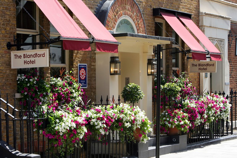 An outside view of Blandford Hotel, with two small lights at the hotel entrance and many colourful flowers