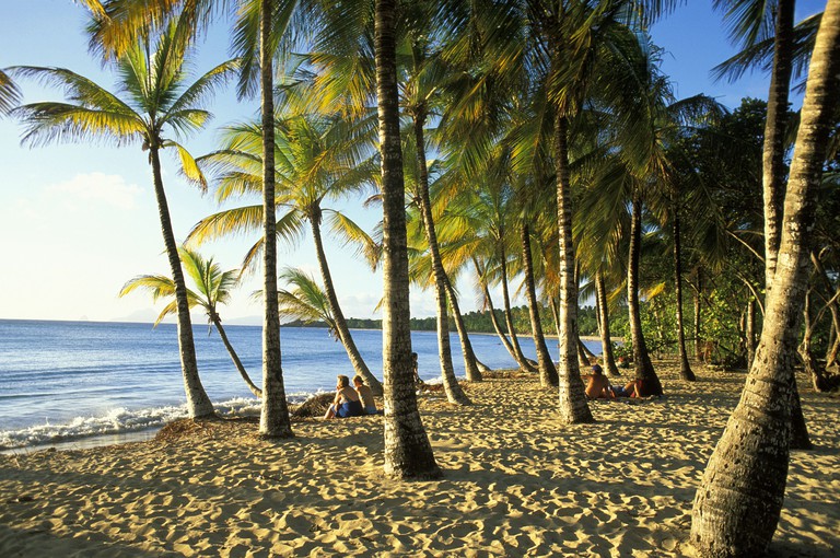 GRANDE ANSE DES SALINES beach, Martinique, Caribbean