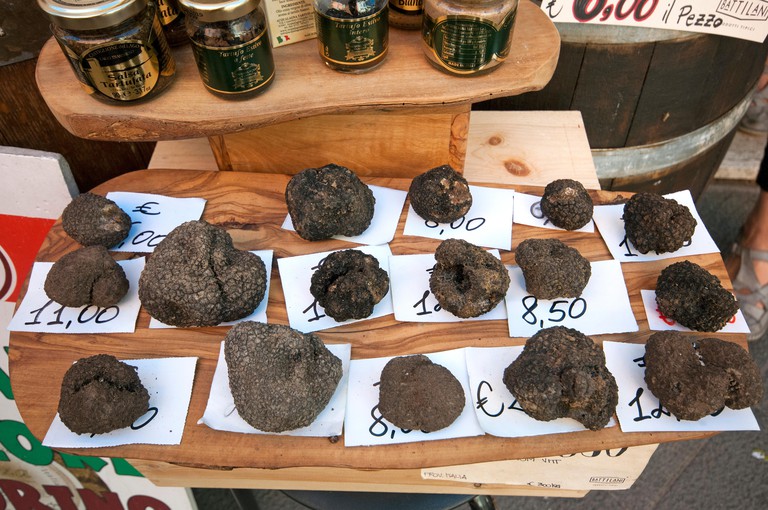 Summer truffles (Tuber aestivum) for sale, Castiglione del Lago, Umbria, Italy
