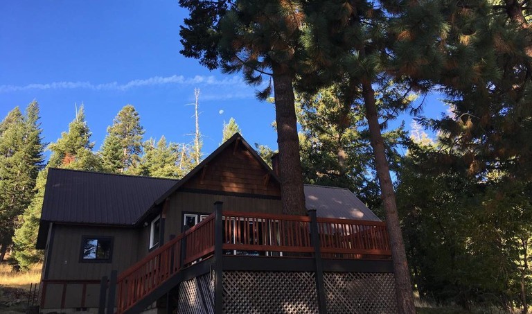 The Mountain Pine Cabin in the middle of the forest