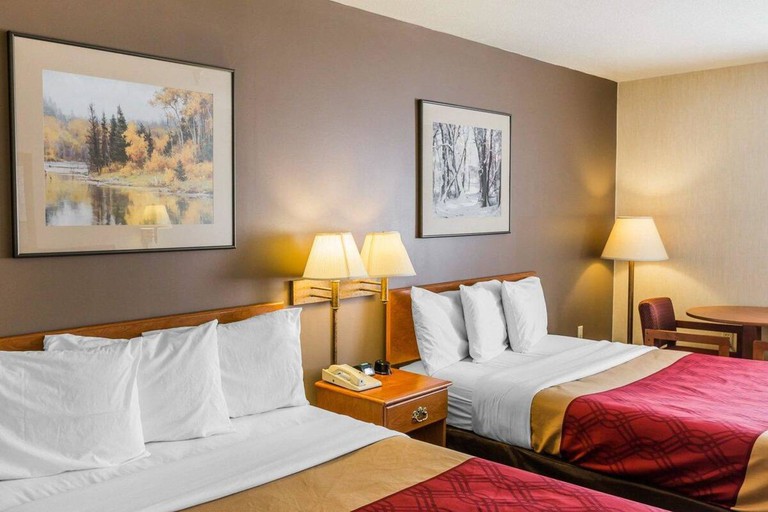 A classic room with images of nature at the Econo Lodge Pagosa Springs