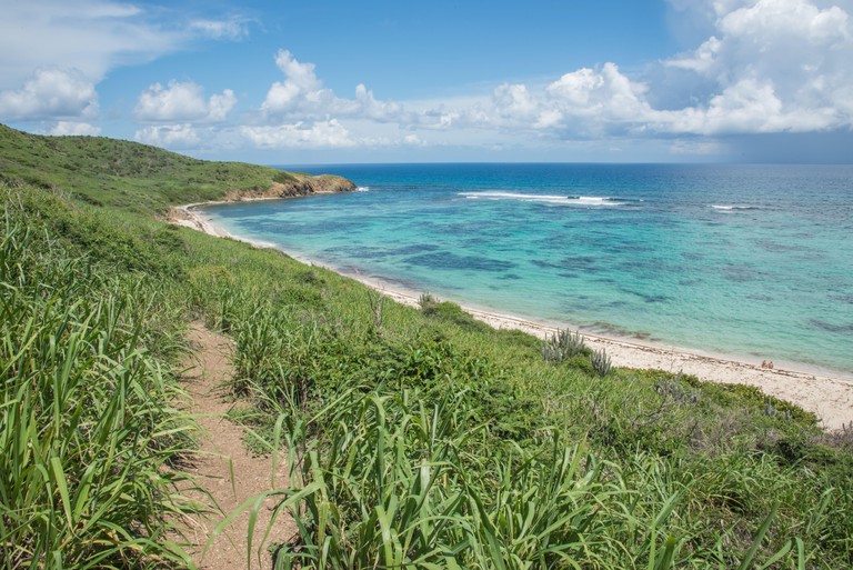 Isaac Bay with Caribbean Sea waves, path and lush, coastal greenery on a sunny day on the east end of St. Croix in the US Virgin Islands