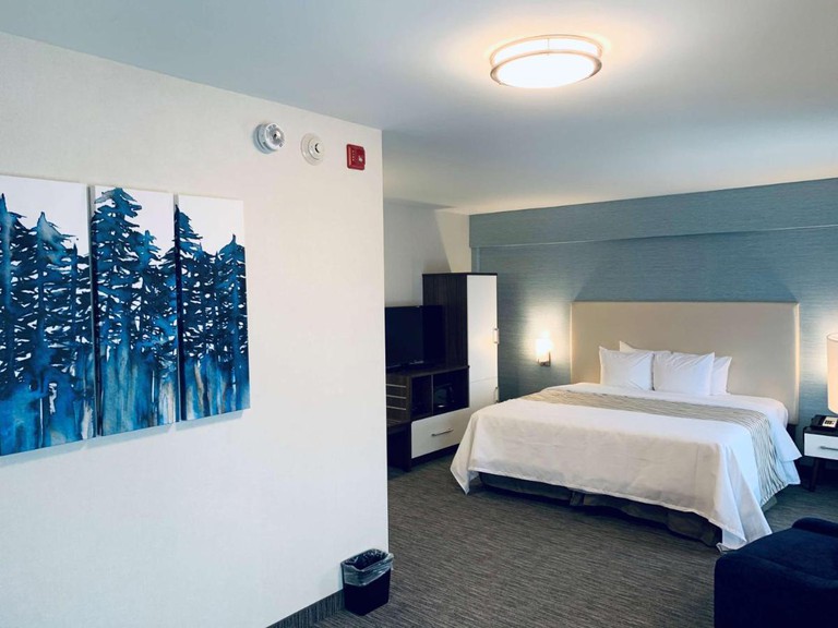 A guest room at the Chandni Victoria with one queen bed and a triptych painting of blue trees on the wall