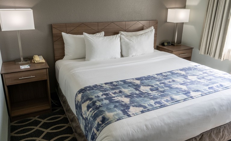 A guest room with one king-size bed, nightstands and lamps at the Wingate by Wyndham Humble/Houston Intercontinental Airport
