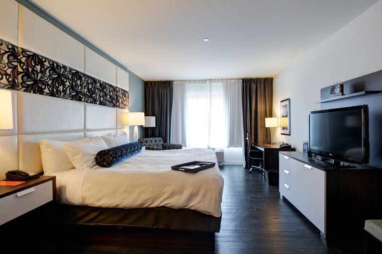 A stylish guestroom at the Hotel Indigo Waco - Baylor with a double bed and tv