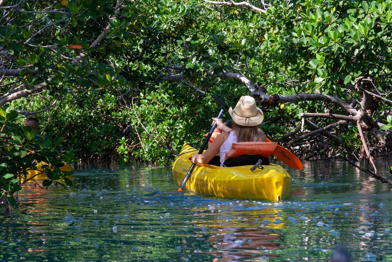 Two women explore the mangroves of Lucayan National Park in a yellow kayak.