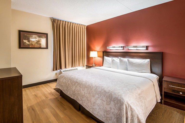 A king room with a siena-colored feature wall and hardwood floors at Red Roof Inn PLUS+ Long Island