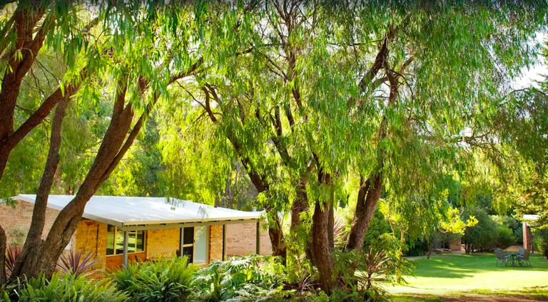 Lawns of Peppermint Brook Cottages with trees and seating